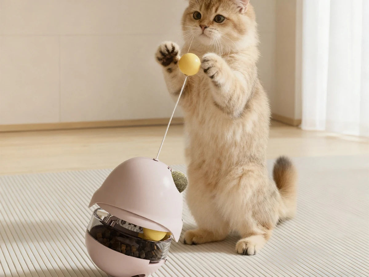 Cat interacting with a treat toy