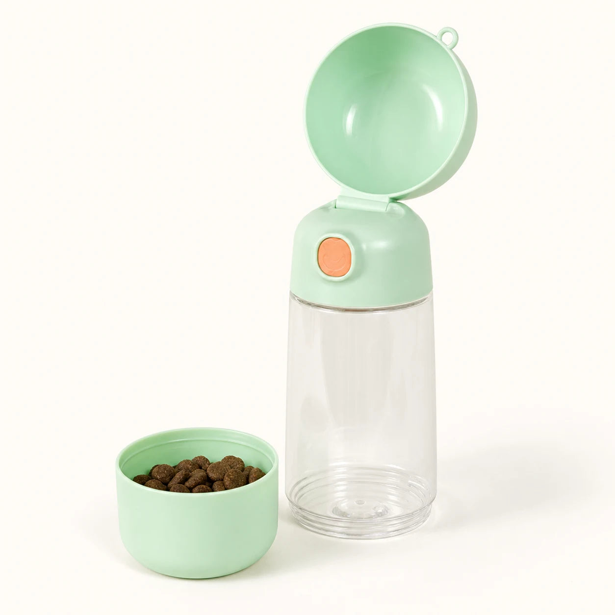 Mint travel water bottle